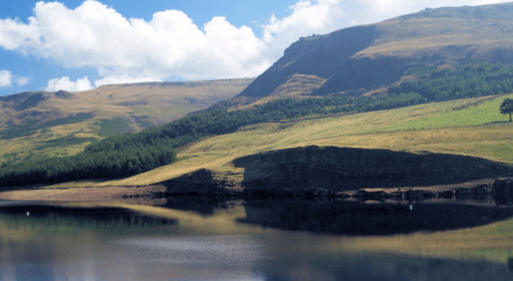 Two Yorkshire Spots Named Most Scenic Dog Walks In The UK
