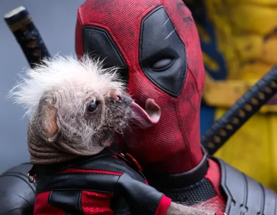 East Yorkshire’s ‘Ugliest’ Dog Is The New Star Of ‘Deadpool’ 3