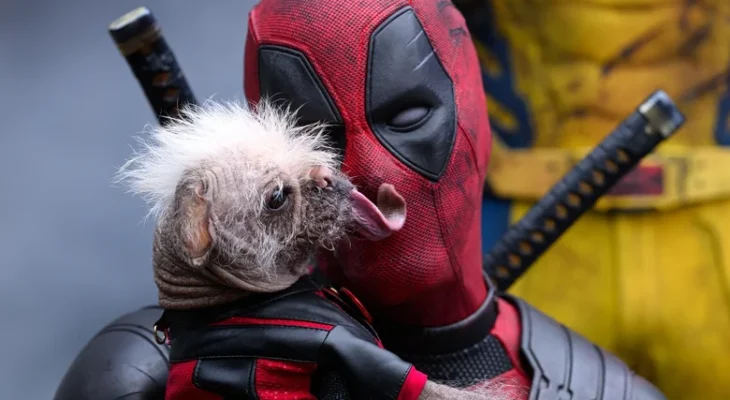 East Yorkshire’s ‘Ugliest’ Dog Is The New Star Of ‘Deadpool’ 3