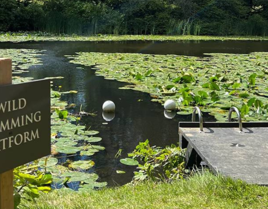 11 Of The Best Yorkshire Dales Wild Swimming Spots