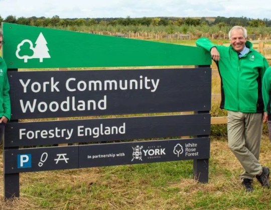 New North Yorkshire Woodland Opens With 210,000 Trees Planted