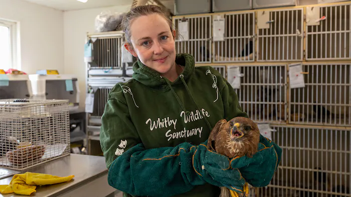 Viewers Praise Channel 4’s ‘Yorkshire By The Sea’ After First Episode Aired Last Night