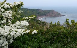 16 Of The Best Beaches In Yorkshire To Visit This Summer