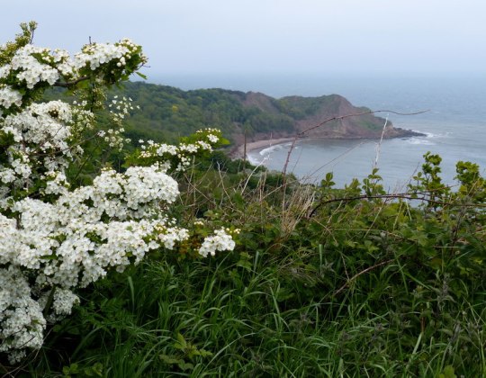 16 Of The Best Beaches In Yorkshire To Visit This Summer