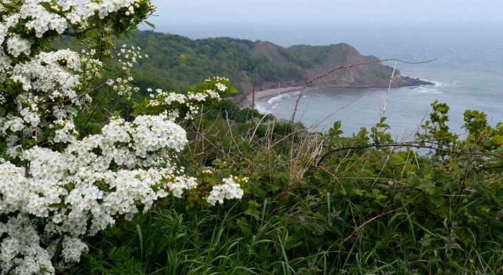16 Of The Best Beaches In Yorkshire To Visit This Summer