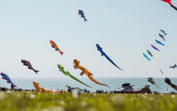 Yorkshire Coast Kite Festival To Showcase World’s Biggest Inflatables