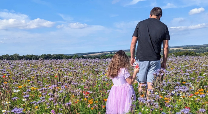You Can Pick Your Own Wildflowers At This Stunning Yorkshire Flower Farm