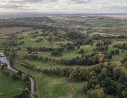 Nearly 2 Million Trees Planted In The North Of England In 2023
