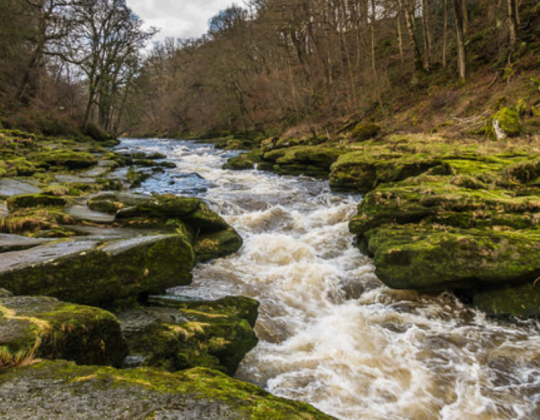 Man Lowers Camera Into ‘World’s Most Dangerous River’ Found In Yorkshire