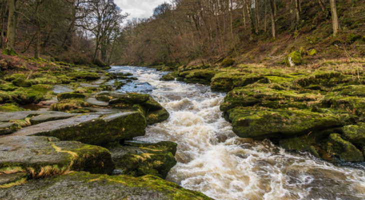 Man Lowers Camera Into ‘World’s Most Dangerous River’ Found In Yorkshire