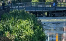 ‘Floating Ecosystem’ Set To Help Boost Wildlife & Improve Water Quality In York’s River Ouse