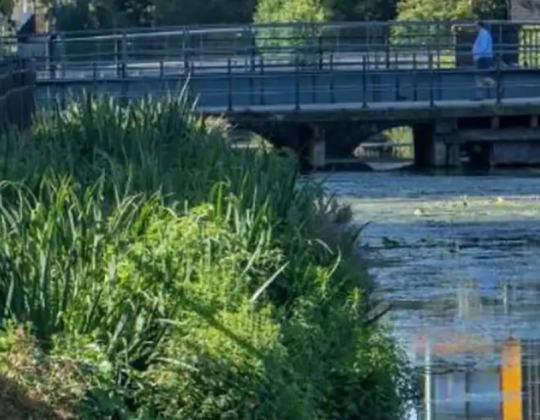 ‘Floating Ecosystem’ Set To Help Boost Wildlife & Improve Water Quality In York’s River Ouse