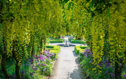 16 Stunning Places To See Spring Flowers In Yorkshire