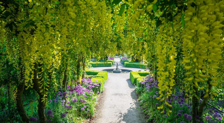 16 Stunning Places To See Spring Flowers In Yorkshire