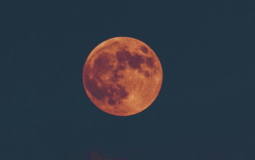 Exact Time Rare ‘Blood Moon’ Lunar Eclipse To Occur In UK