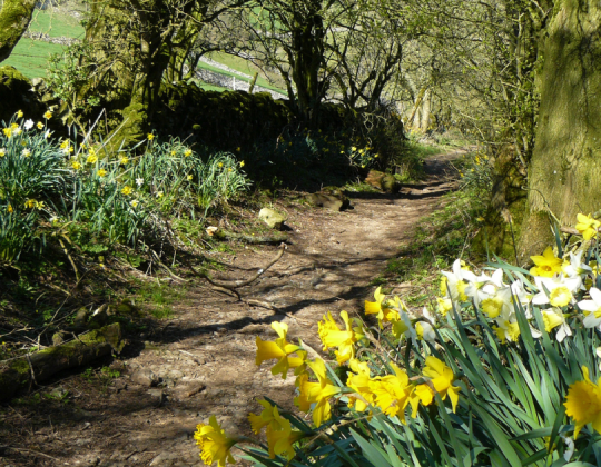 6 Spring Walks In Yorkshire To Get You Out The House