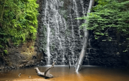 This Magical Woodland Walk Finishes At A Tea Garden Next To A 30ft Waterfall