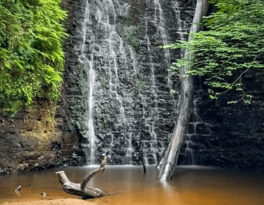This Magical Woodland Walk Finishes At A Tea Garden Next To A 30ft Waterfall