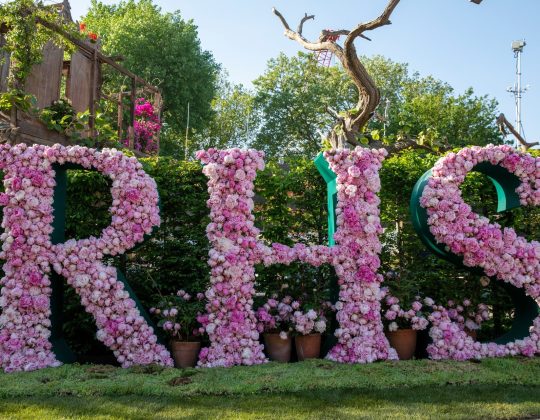 The RHS Flower Show Is Coming To South Yorkshire For The First Time Ever