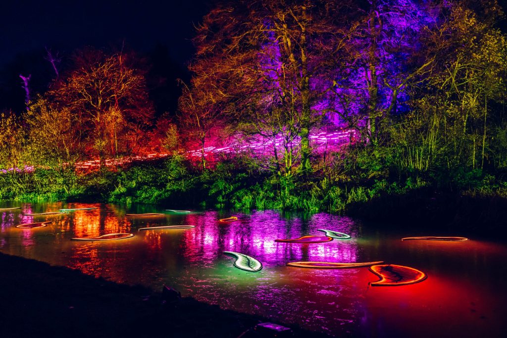 Northern Lights Leeds Christmas