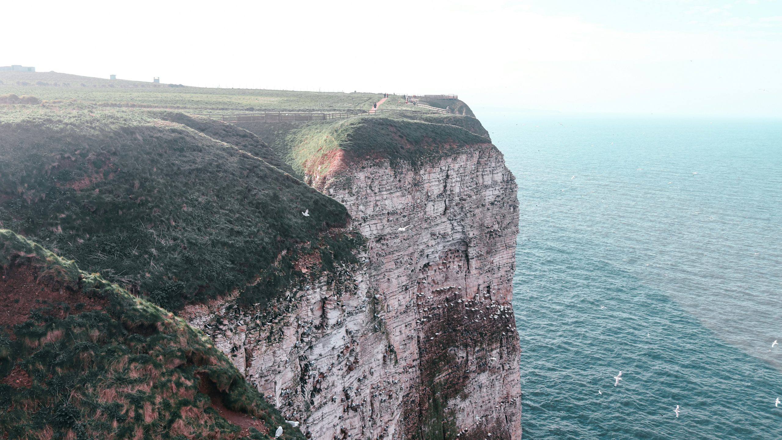 Yorkshire Coast Reserve Named First Shorewatch Site In England