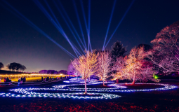 An Immersive Northern Lights Trail Is Returning To Yorkshire This Christmas