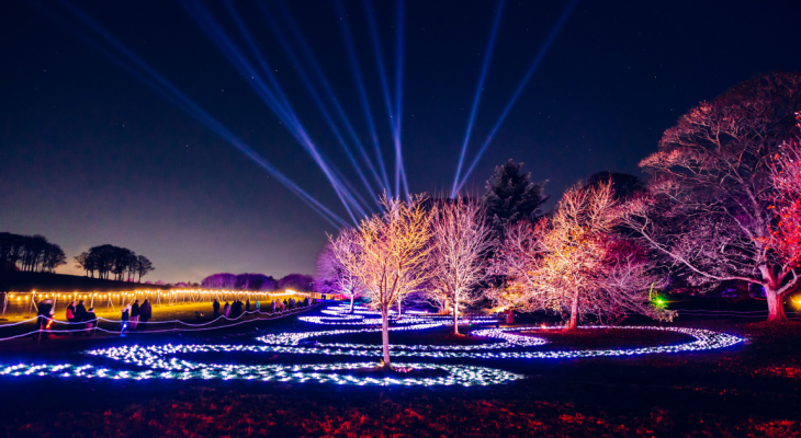 An Immersive Northern Lights Trail Is Returning To Yorkshire This Christmas