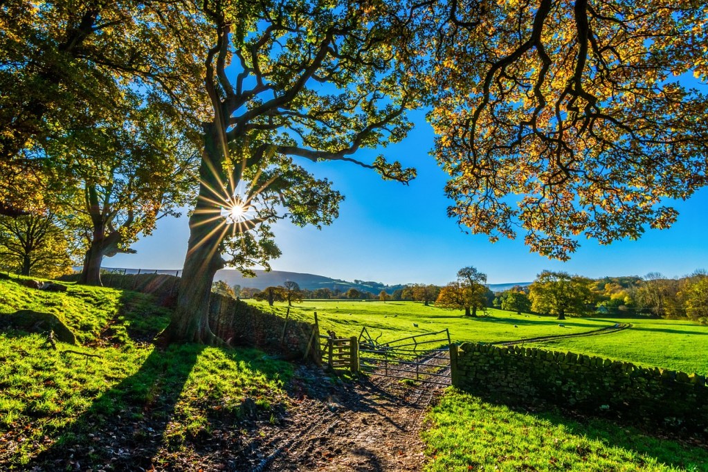 A sunny scene in Yorkshire