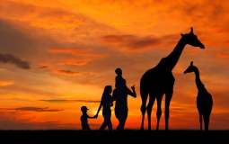 Yorkshire Wildlife Park Is Hosting Sunset Safaris At The Park This Summer