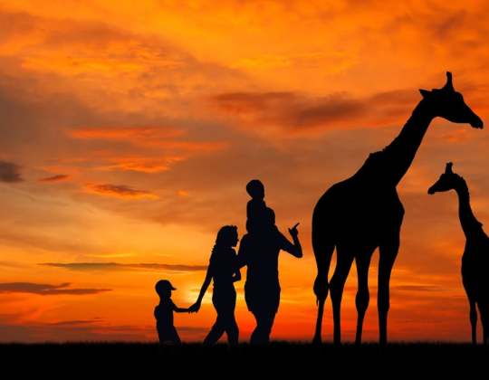 Yorkshire Wildlife Park Is Hosting Sunset Safaris At The Park This Summer