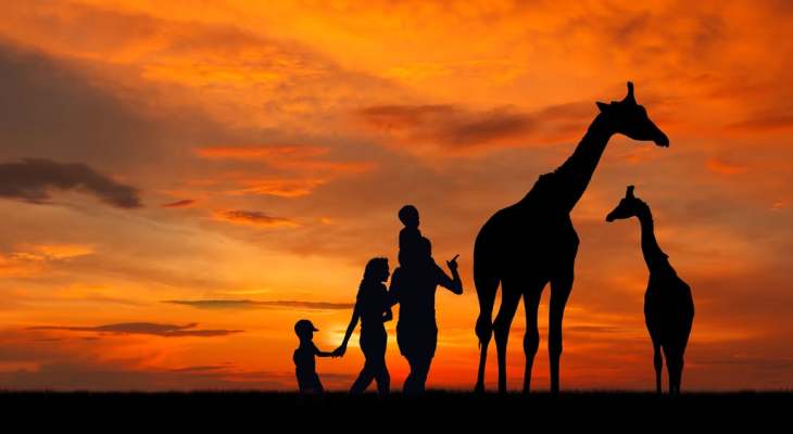 Yorkshire Wildlife Park Is Hosting Sunset Safaris At The Park This Summer