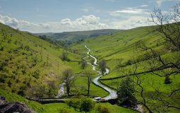 Rainforests Are Set To Return To The Yorkshire Dales As Part Of New Nature Reserve