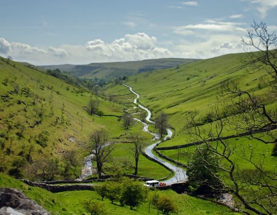 Rainforests Are Set To Return To The Yorkshire Dales As Part Of New Nature Reserve