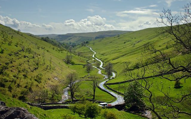 Rainforests Are Set To Return To The Yorkshire Dales As Part Of New Nature Reserve