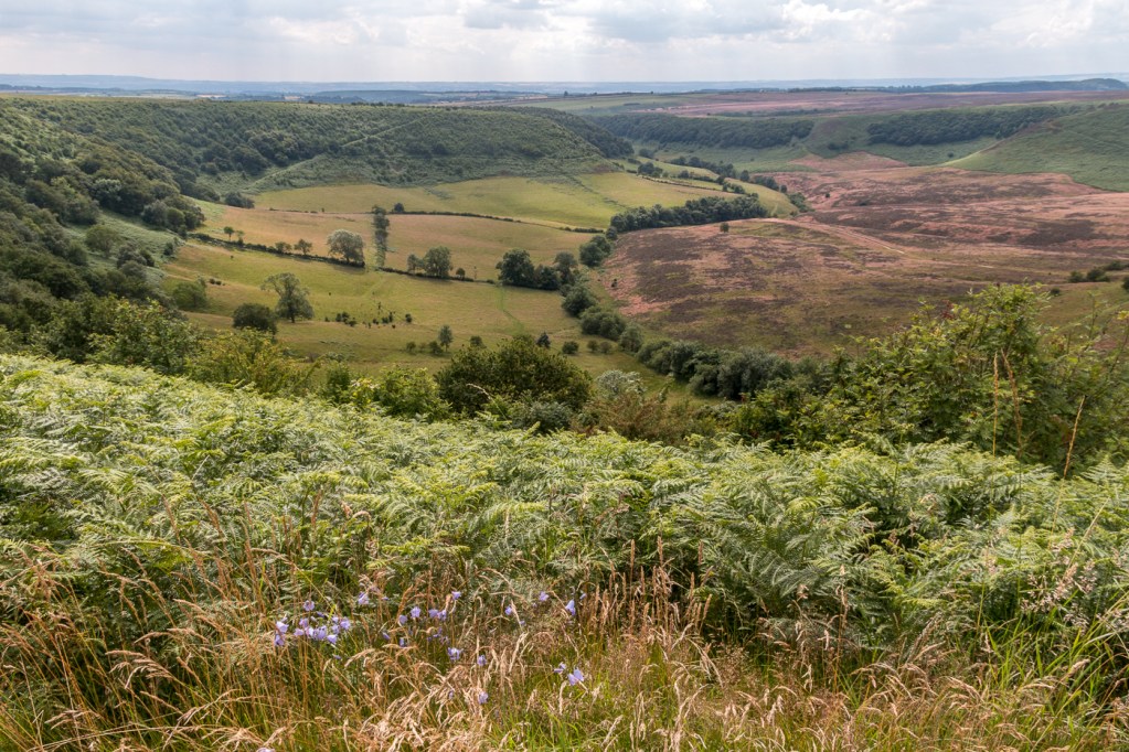 Views over the Hole of Horcum, North York Moors. 