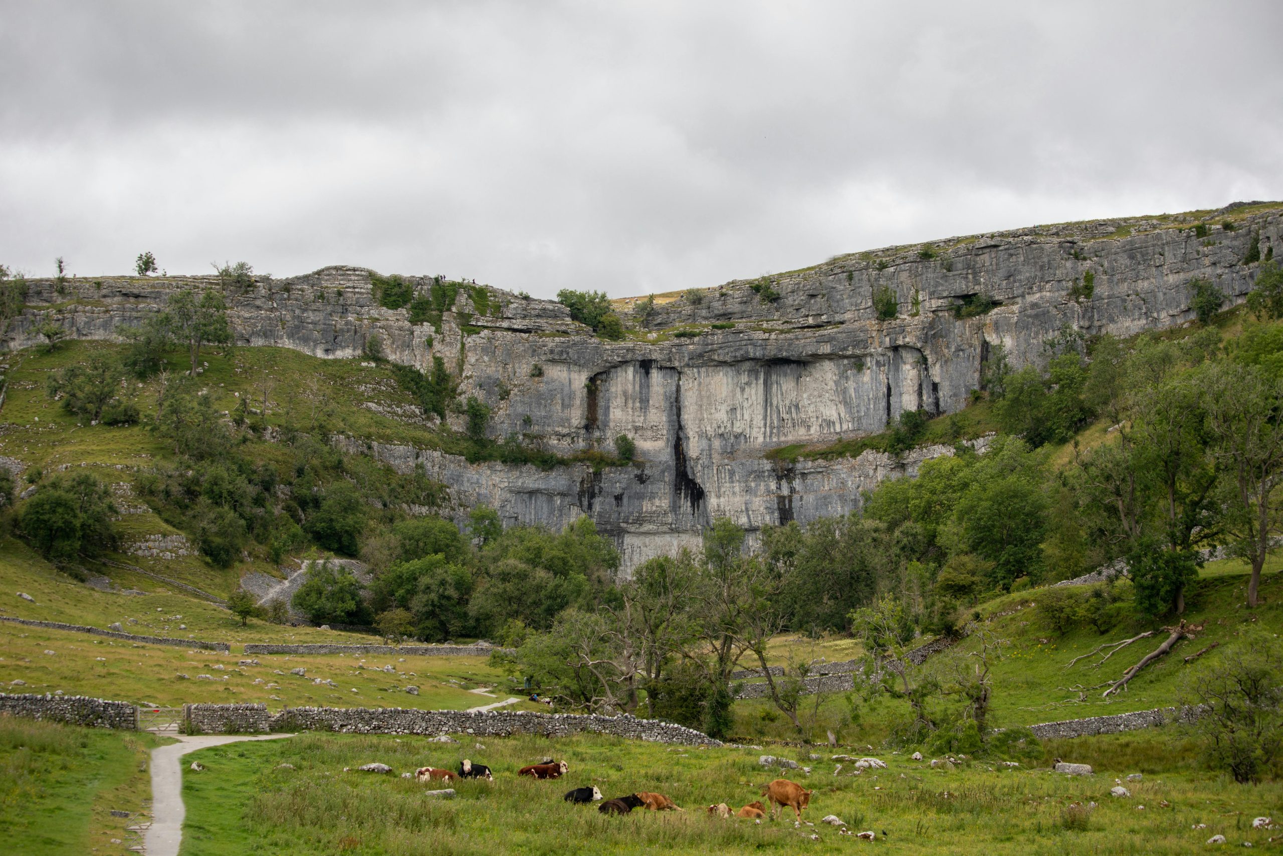 The Perfect South Yorkshire Dales Itinerary: What To Do & Where To Visit