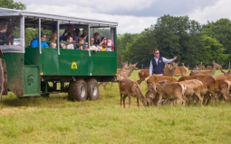 You Can Go On A Deer Safari In Yorkshire This Weekend