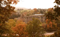 Three Yorkshire Spot Named In UK’s Top 10 Autumn Walks