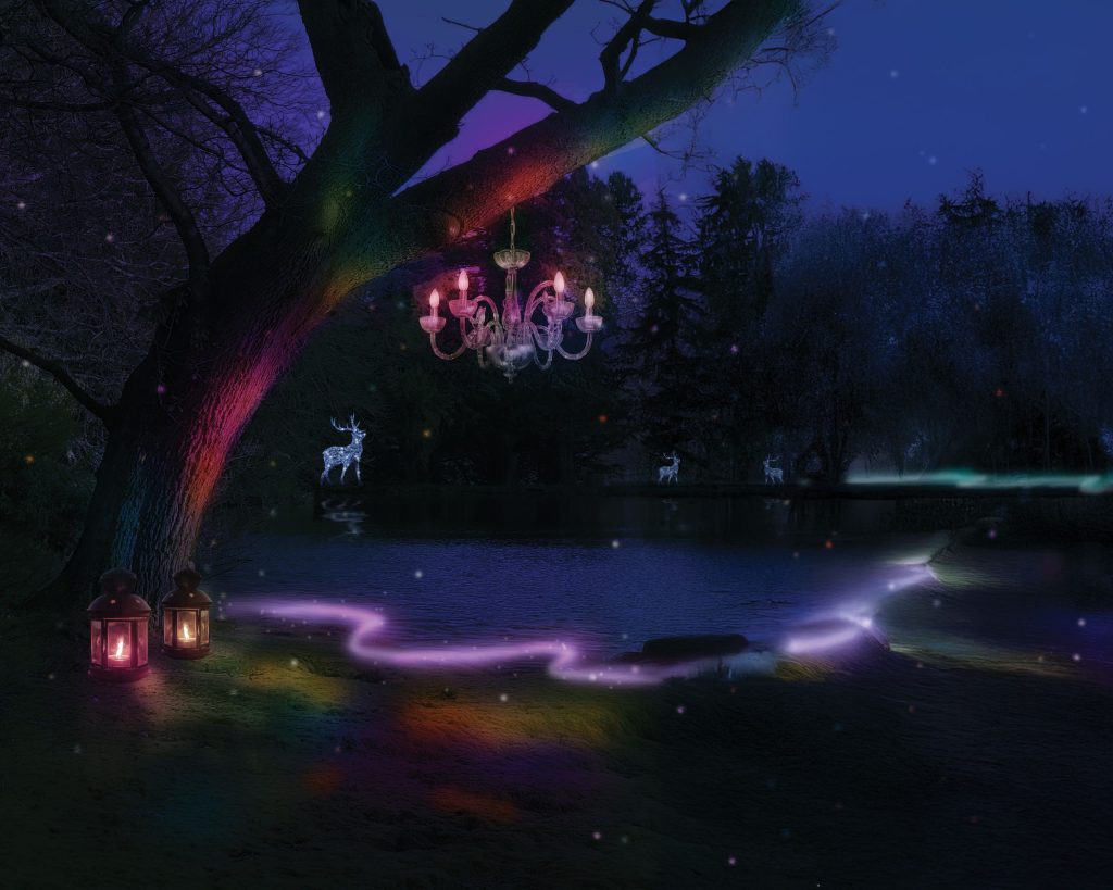 An illustration of Luminescence at Swinton Estate.