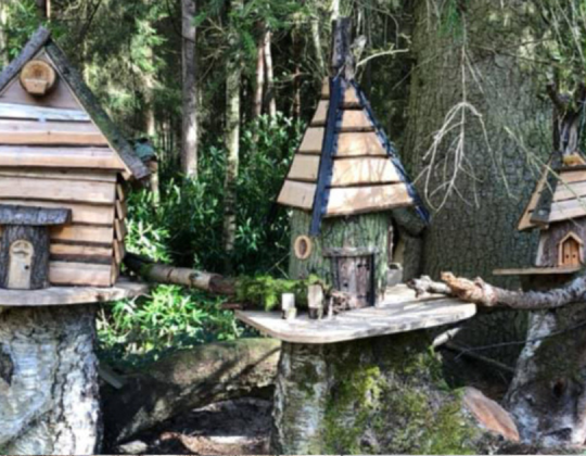 The Woodland Fairy Sanctuary Walk With A Magical Afternoon Tea In Yorkshire