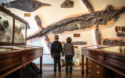 Exploring The Best Things To Do In Whitby With Kids