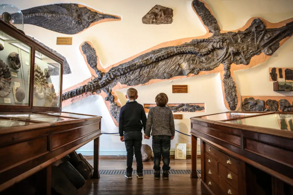 things to do with kids whitby