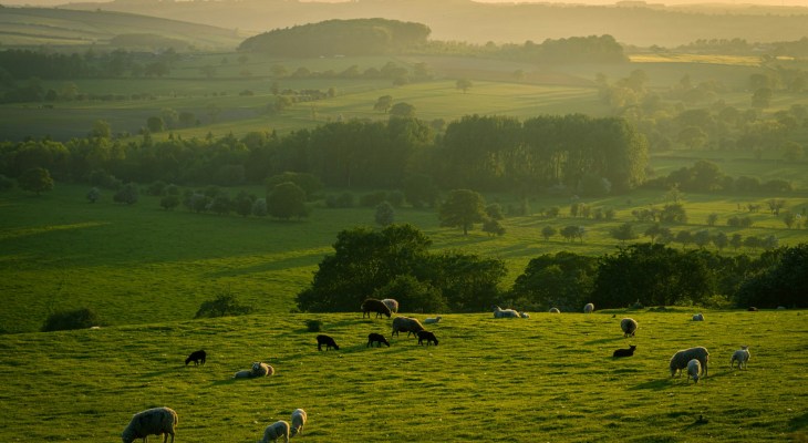 4 Yorkshire Jokes That All Yorkshire Folk Should Know