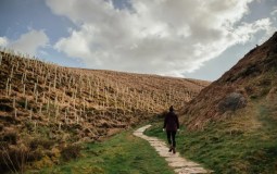 134 Million Trees Planned For Yorkshire With Aims To ‘Transform Landscape’