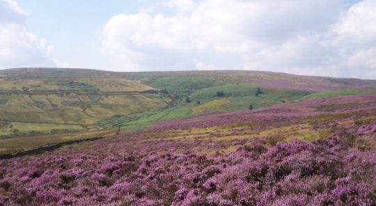 Yorkshire Nature Reserve Named In Seven Wonders Of The World For 2026