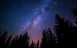 Dark Sky Festival Set To Return To Yorkshire This February