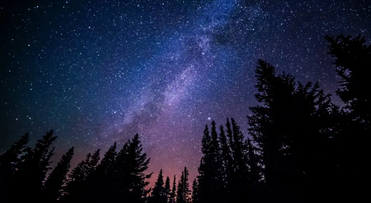 Dark Sky Festival Set To Return To Yorkshire This February