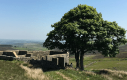 Top Withens – Visiting the Inspiration Behind Wuthering Heights