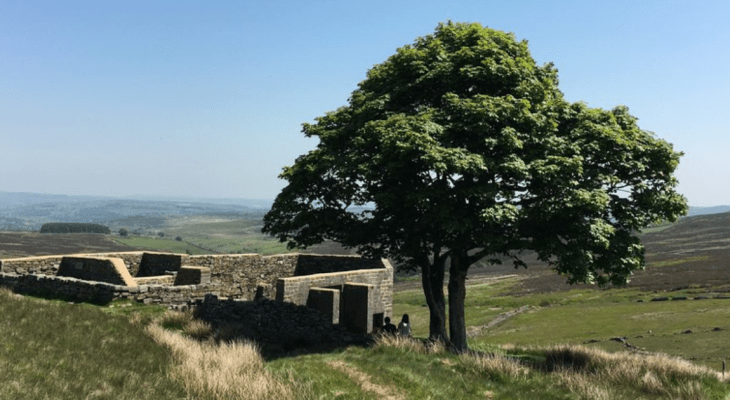 Top Withens – Visiting the Inspiration Behind Wuthering Heights