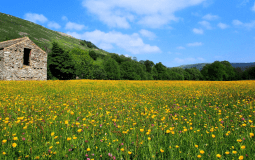 7 Of The Best Spring Walks In Yorkshire For 2026